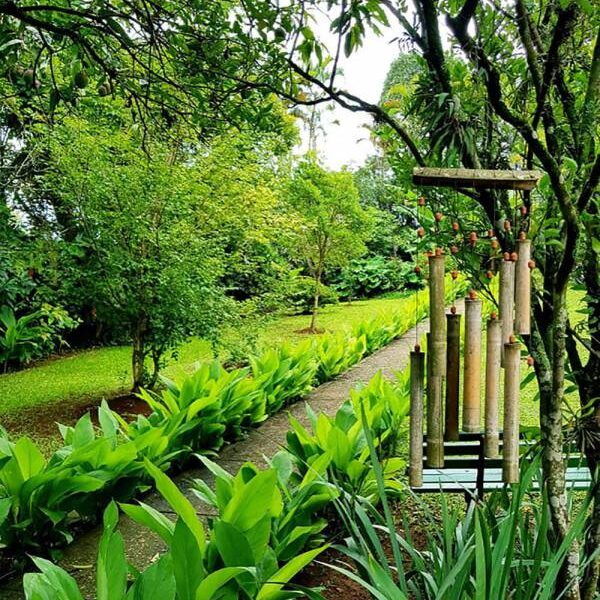 Jardim arborizado do Espaço Integração na Granja Viana